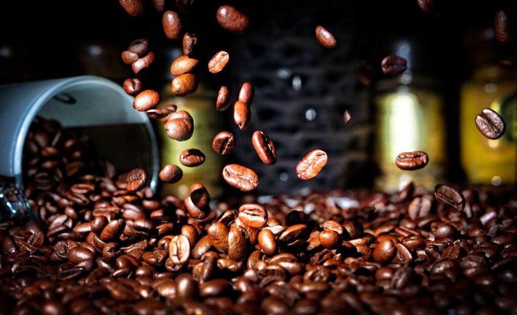 What are the Primary Types of Coffee Beans?