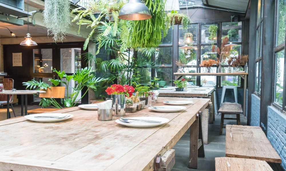 What Makes a Plant-Based Café Worth Visiting? Beyond the Menu